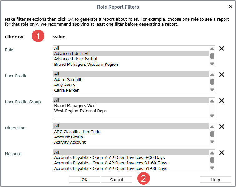 Help -- Role Report Filters Window
